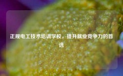 正規電工技術培訓學校，提升就業競爭力的首選