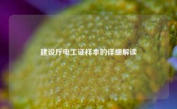 建設廳電工證樣本的詳細解讀