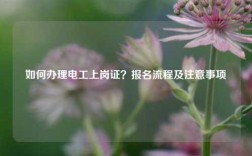如何辦理電工上崗證？報(bào)名流程及注意事項(xiàng)