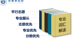 安徽單招網(wǎng)集訓(xùn)營：專業(yè)指導(dǎo)，助力單招