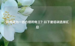 如何成為一名合格的電工？以下是培訓選擇匯總