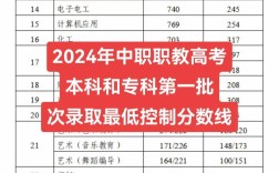 職高考本科的分數線