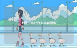 上海二本公辦大學有哪些