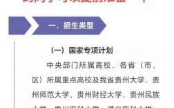 國(guó)家專項(xiàng)計(jì)劃的好處和壞處