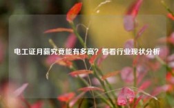 電工證月薪究竟能有多高？看看行業現狀分析