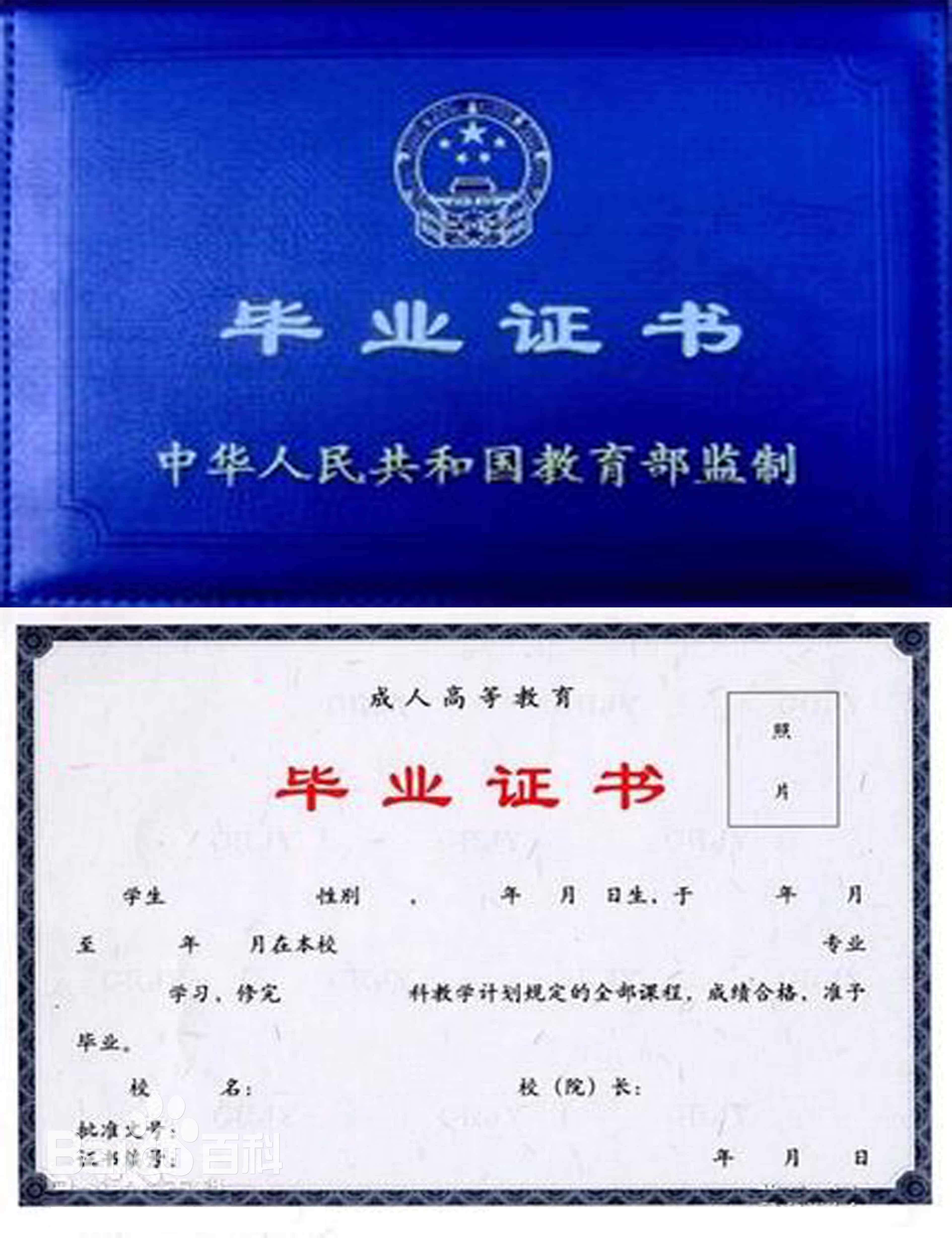 求購大專文憑(有沒有直接買的大專)-圖1