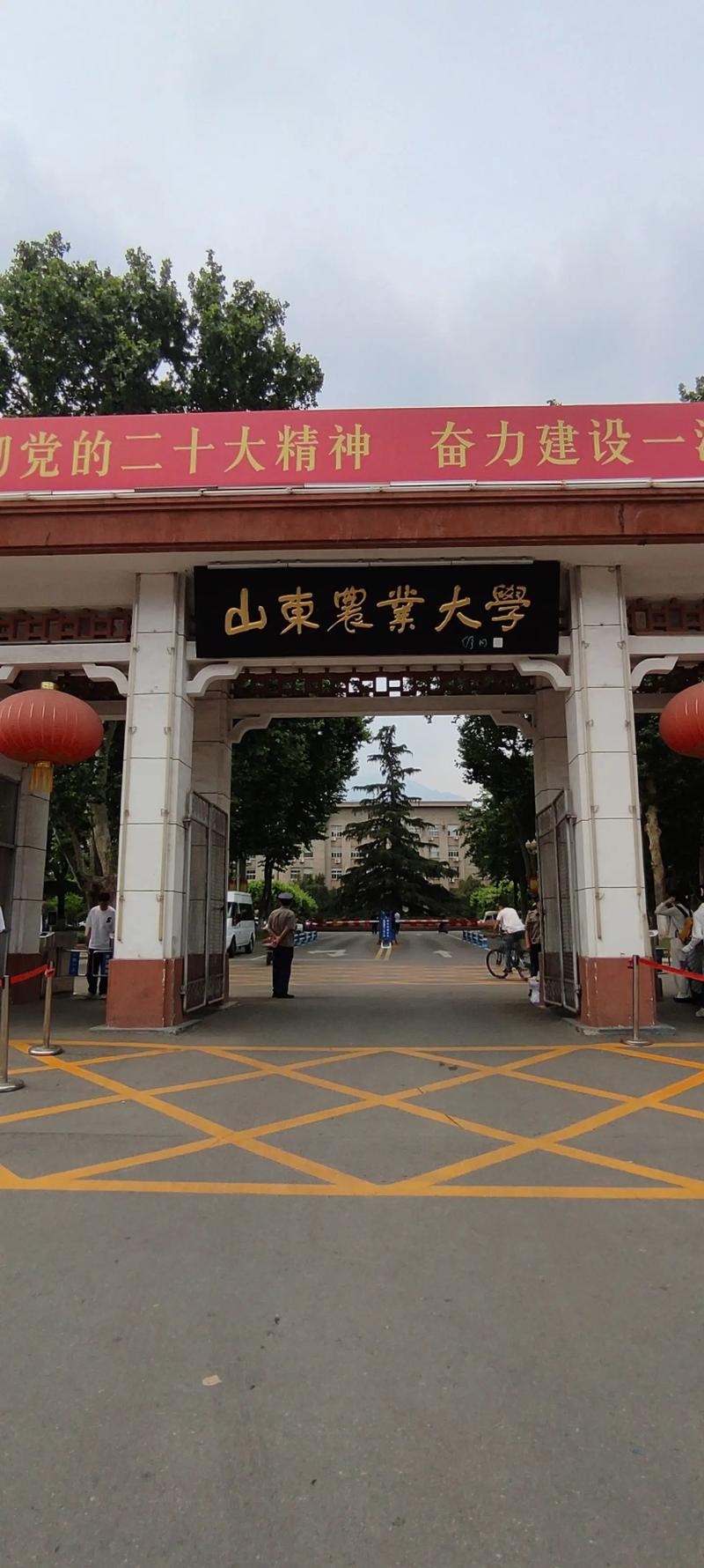 山東最容易考研的大學-圖1