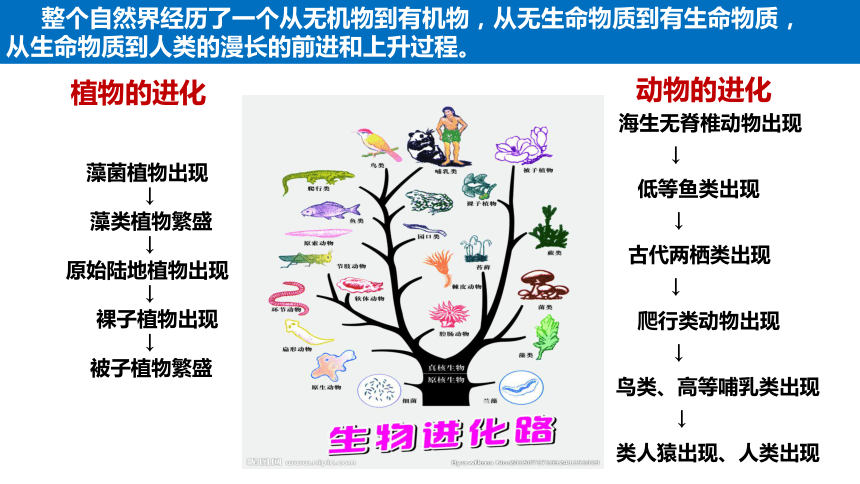 世界是可以被認識的認識是什么過程-圖1