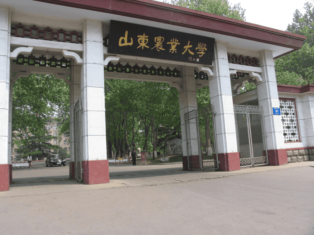 山東農(nóng)業(yè)大學(xué)怎么樣(山東農(nóng)大是一本二本)-圖1