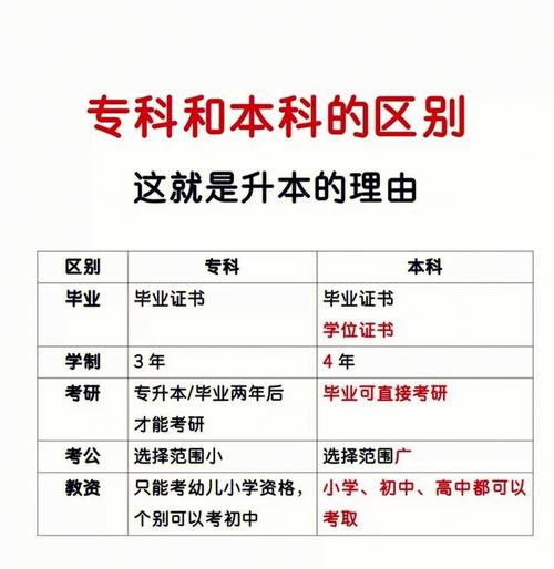 高職本科是什么意思(高職本科是專升本嗎)-圖1