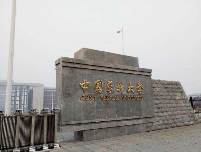 中國最好的醫科大學(全國前十醫科大學)-圖1