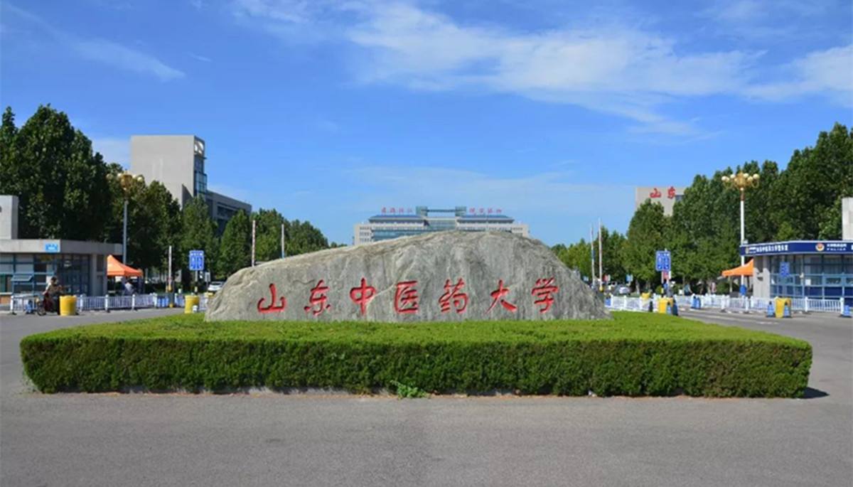 山東中醫藥大學怎么樣(中醫最容易移民的國家)-圖1