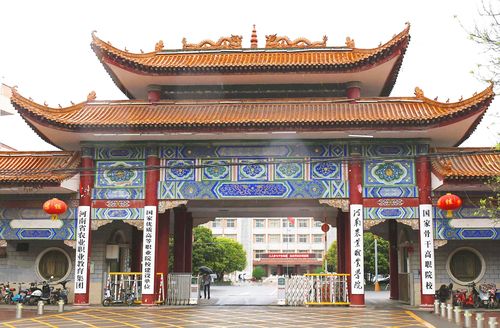 河南農(nóng)業(yè)職業(yè)技術(shù)學(xué)院(技校十大吃香專業(yè))-圖1