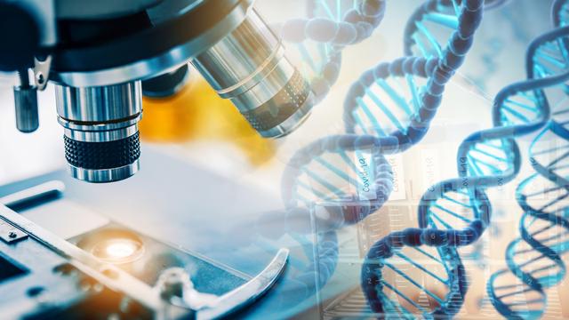 生物醫學工程又難又冷門(生物醫學工程最好的大學)-圖1