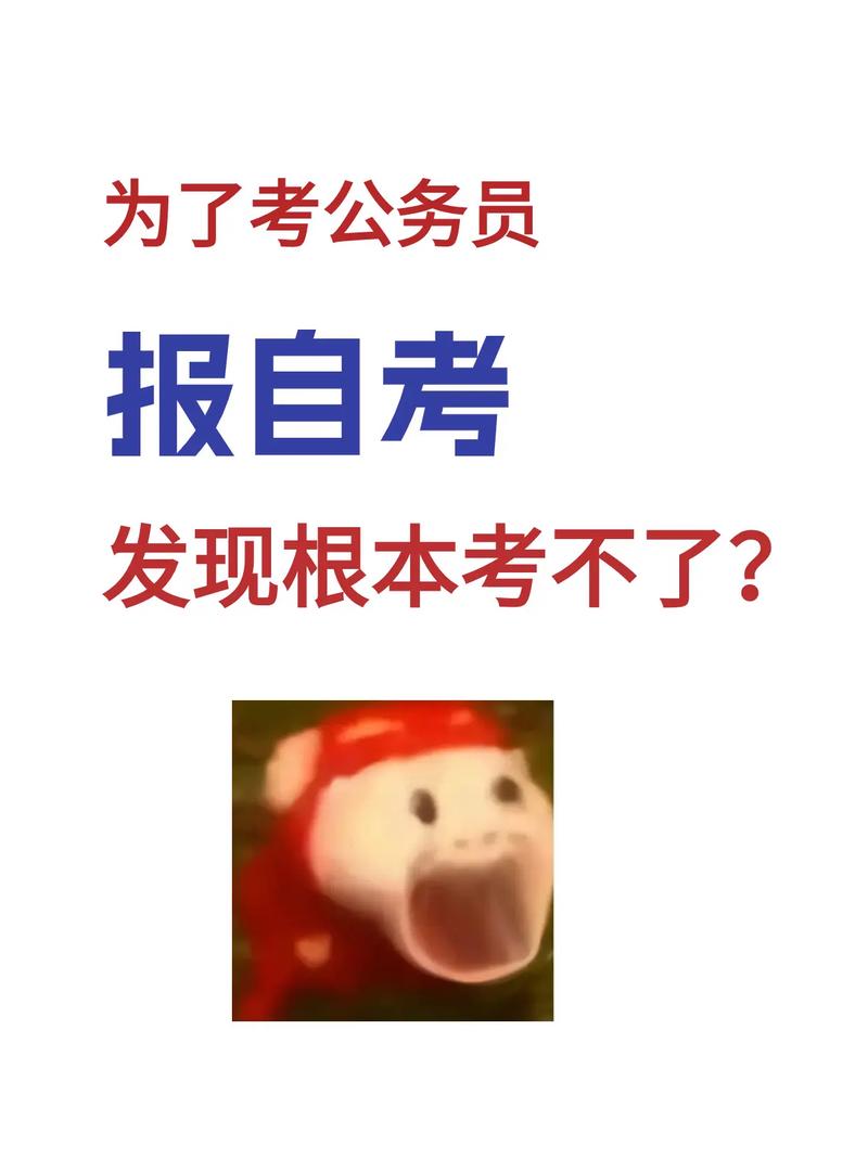 自考根本就考不了公務員(考公務員的崗位在哪里查)-圖1