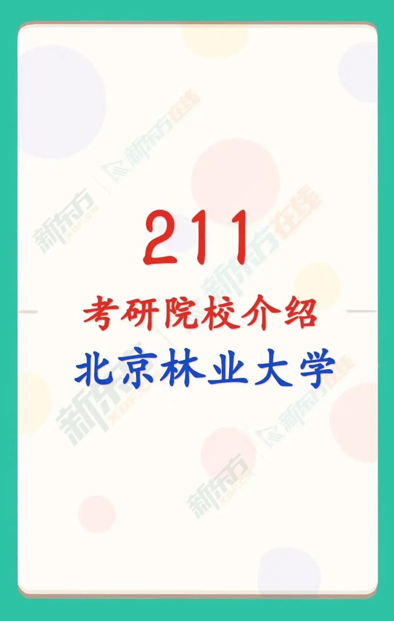 北京林業大學考研難嗎(考研考陜師大有多難)-圖1