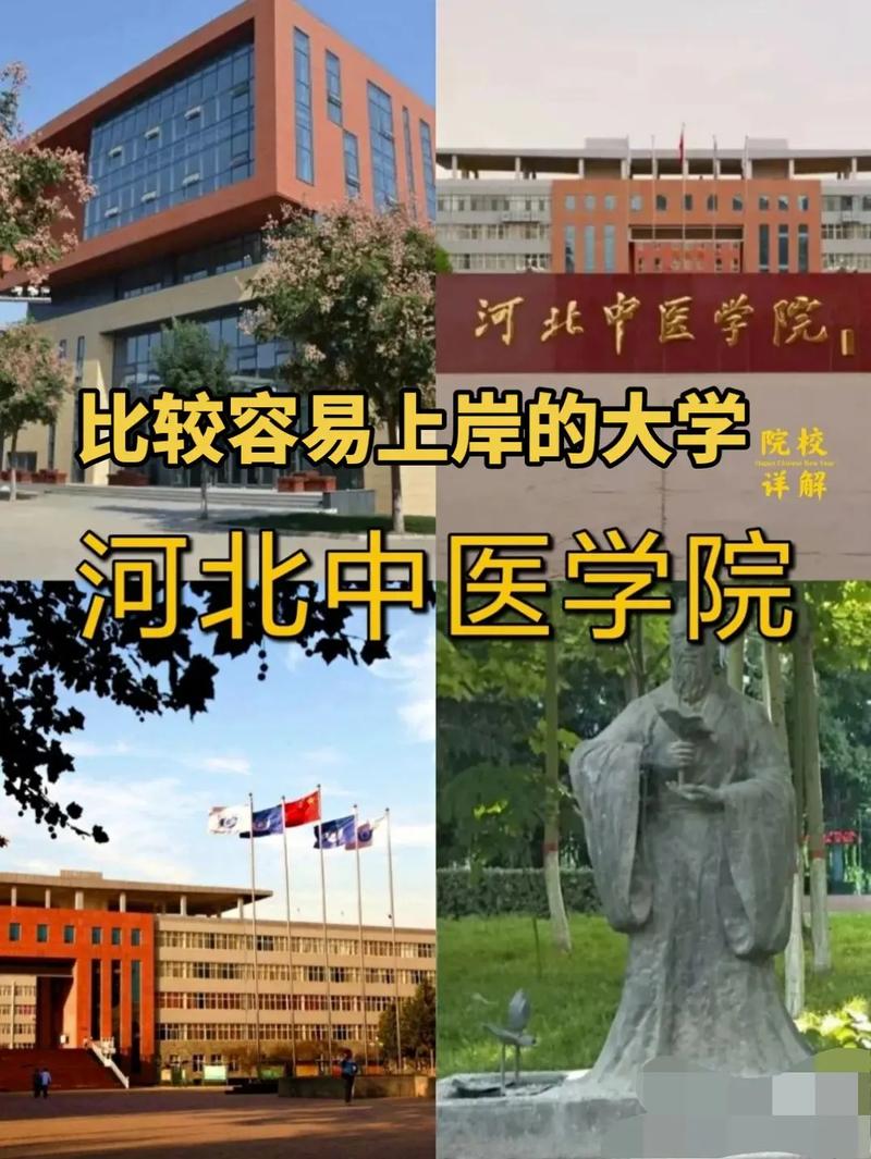 河北中醫(yī)學(xué)院是幾本(錄取分?jǐn)?shù)線)-圖1