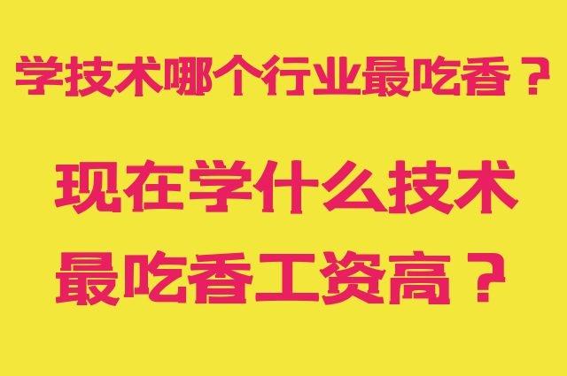 學(xué)技術(shù)哪個(gè)行業(yè)最吃香-圖1