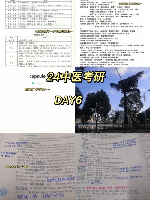 中醫(yī)考研難度大嗎-圖1