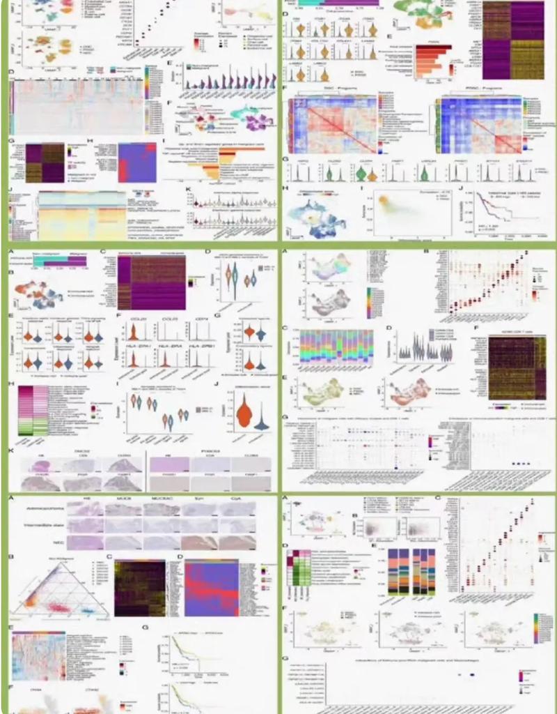 生物信息學研究生出路怎么樣-圖1