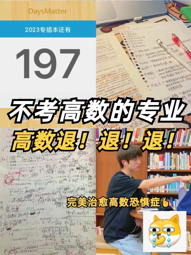 不用學(xué)高數(shù)的大學(xué)專業(yè)-圖1