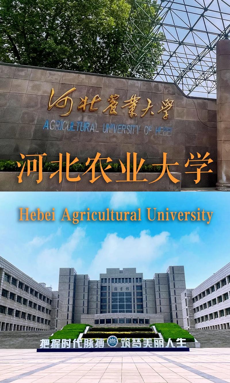 河北農(nóng)大是幾本學(xué)校-圖1