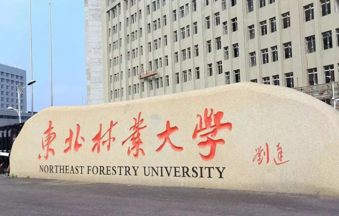 東北林業大學認可度-圖1
