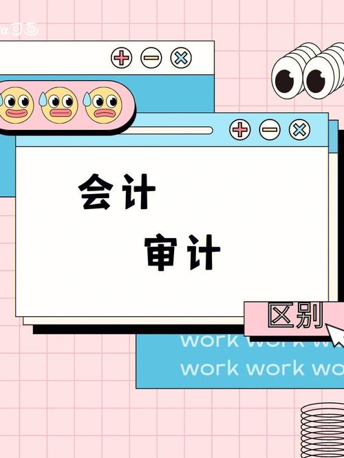 審計(jì)和會(huì)計(jì)的區(qū)別-圖1