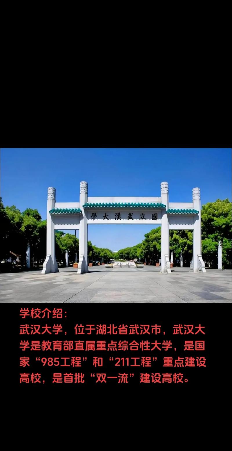武漢的一本大學有哪些學校-圖1