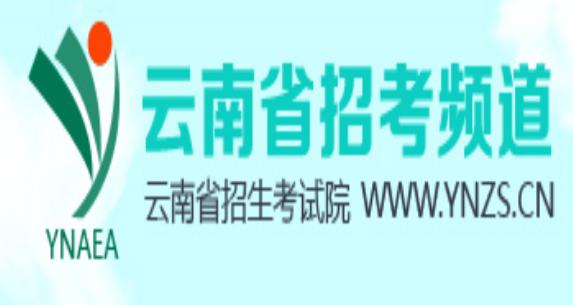 云南省招考頻道官網www.ynzs.cn-圖1