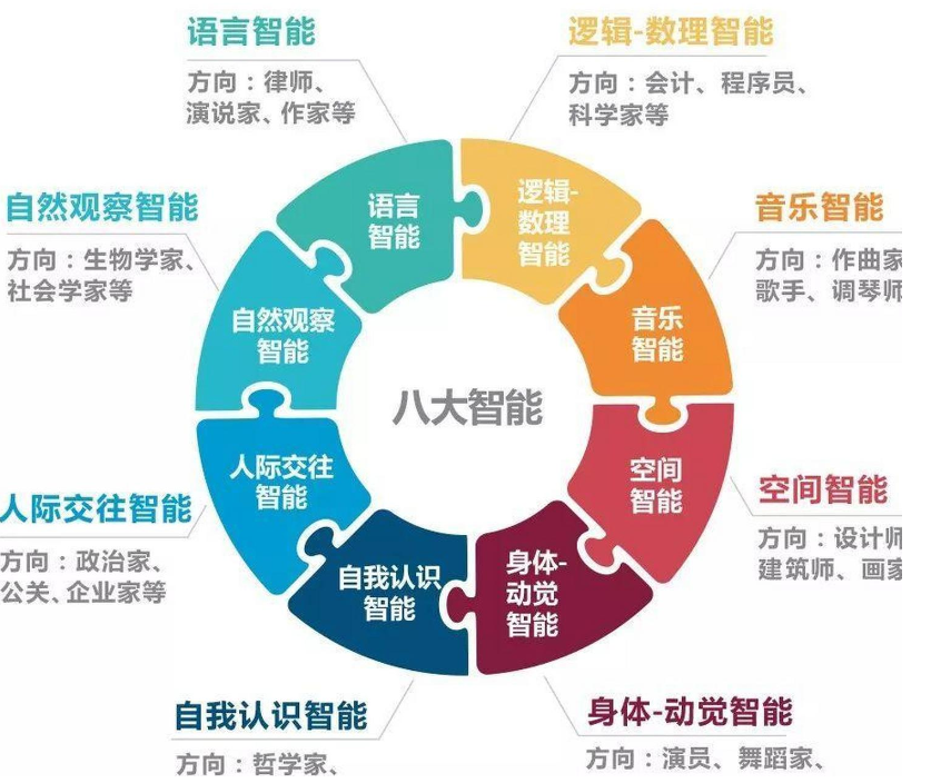 加德納多元智力理論-圖1