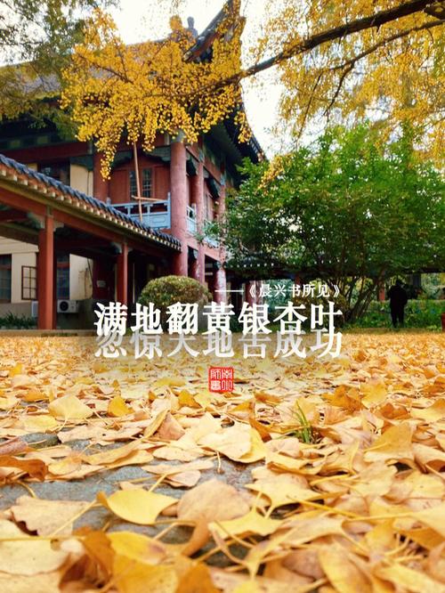 南京師范大學(xué)隨園校區(qū)地址是什么？如何查詢？-圖1