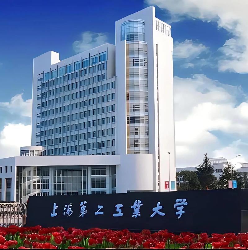 上海第二工業(yè)大學(xué)專升本介紹-圖1