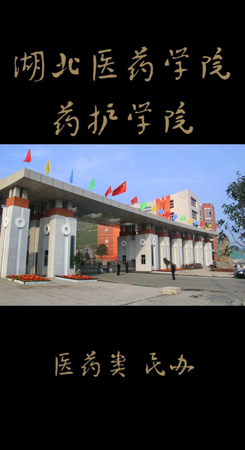 湖北醫學院藥護學院怎么樣-圖1