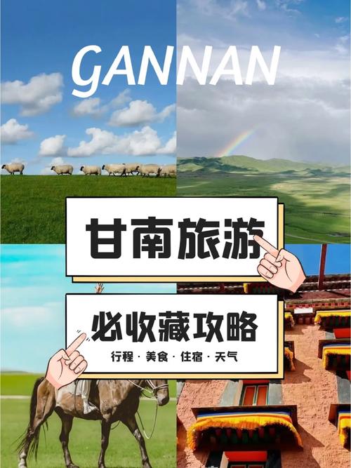 甘南州安全教育平臺登錄（附入口+流程）-圖1