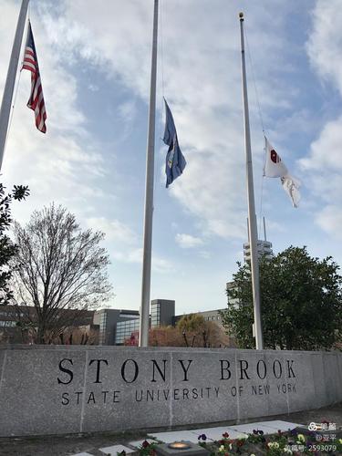 stony brook university-圖1