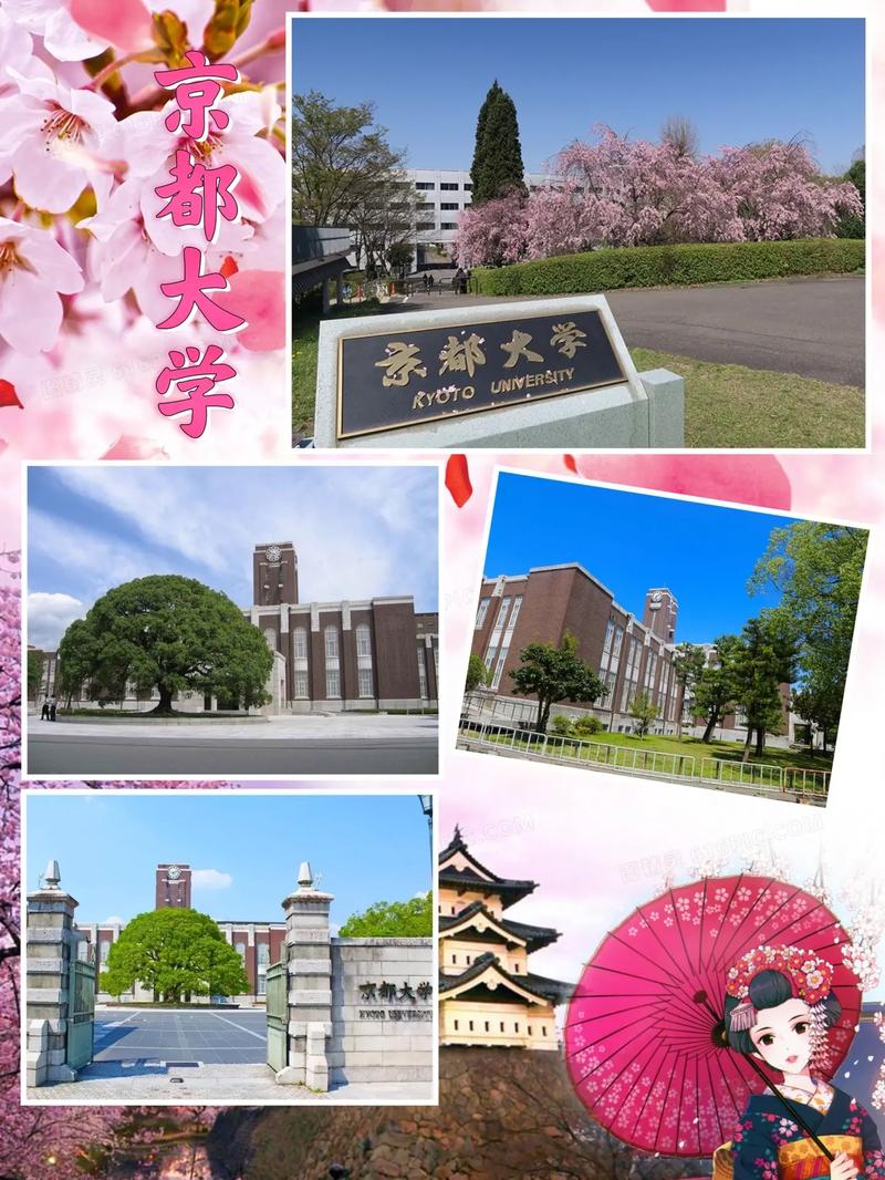 京都大學(xué)相當(dāng)于國內(nèi)哪所大學(xué)-圖1