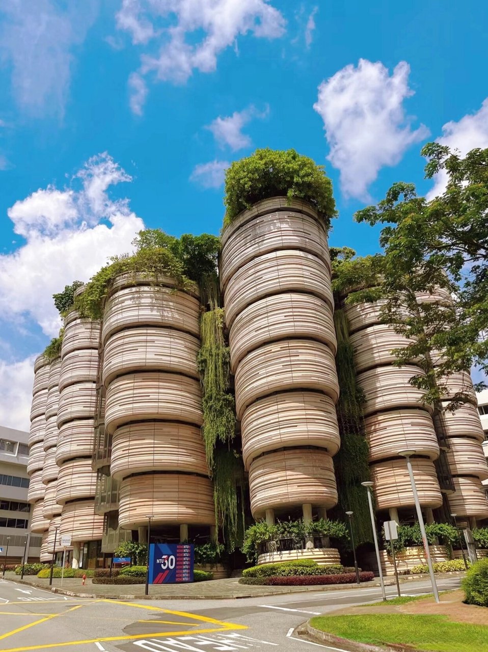 新加坡南洋理工大學好不好-圖1