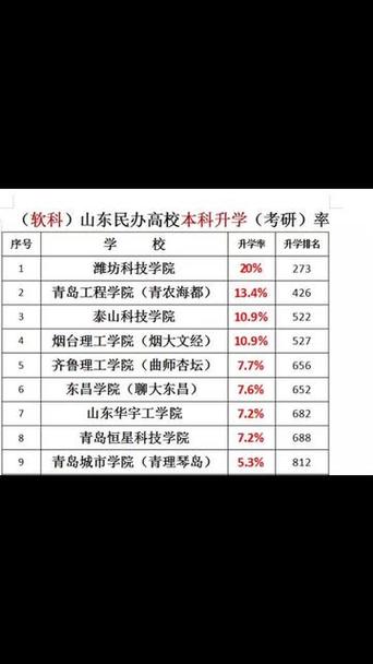 濰坊理工學院考研率-圖1
