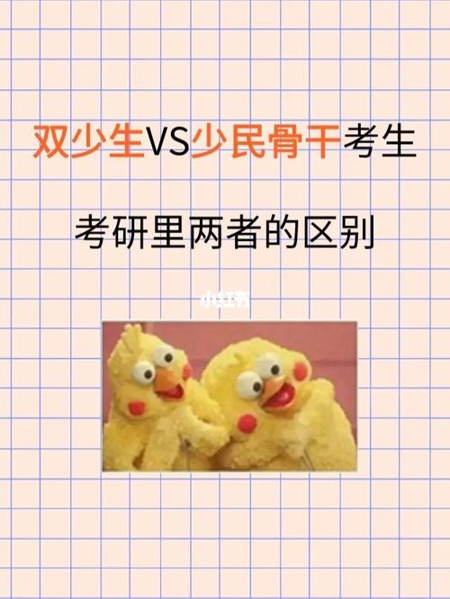 雙少生考研的利弊-圖1