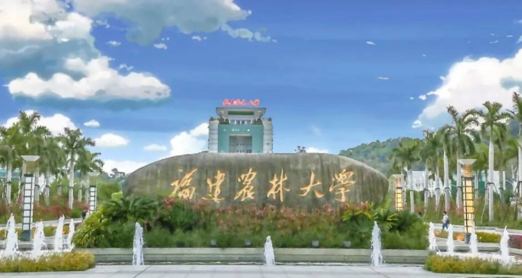 福建農林大學是211嗎-圖1
