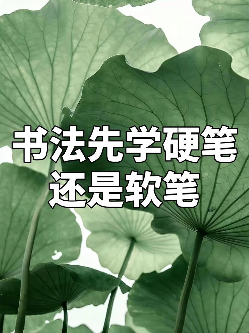 張雪峰談三年硬筆不如學(xué)一年毛筆-圖1