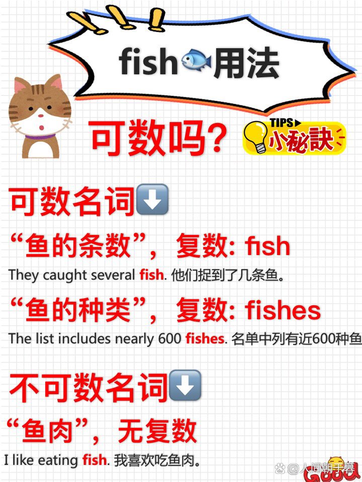 fish可數(shù)還是不可數(shù)(詳解)-圖1