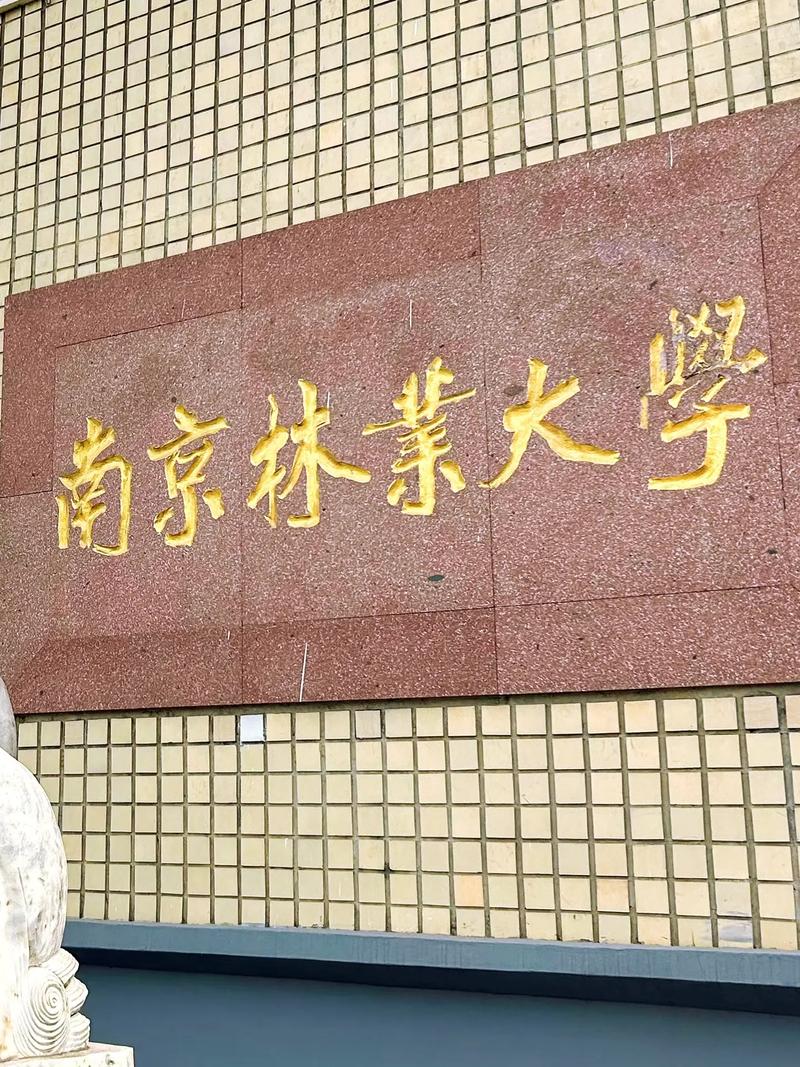 千萬別來南京林業(yè)大學-圖1