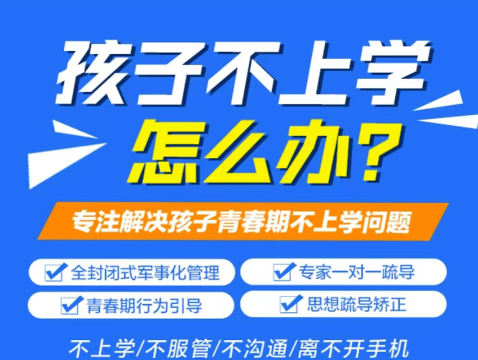 武漢紐特教育青少年心理學校-專注叛逆、厭學、網癮-圖2