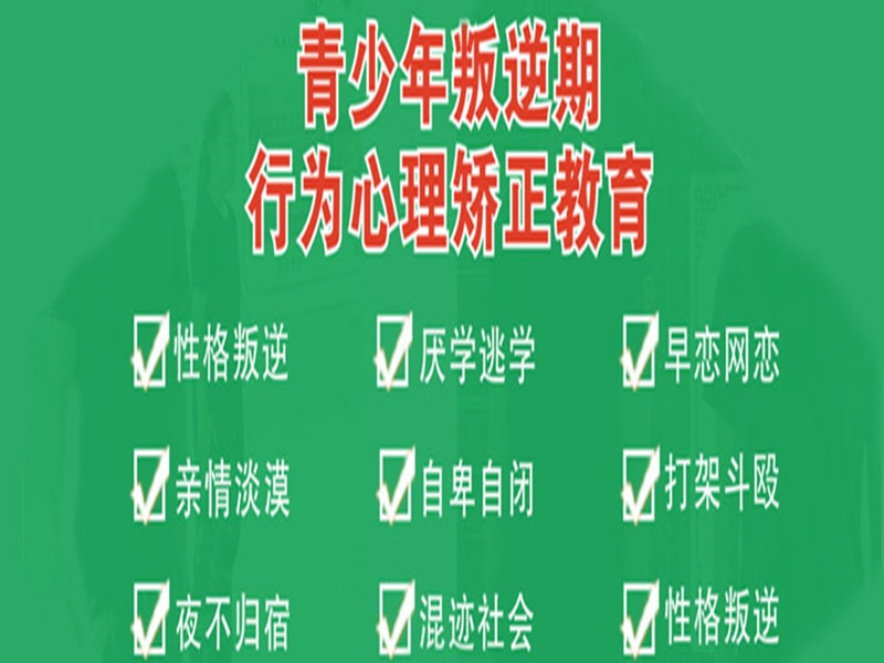 新余市管教孩子叛逆網癮的教育學校-圖1