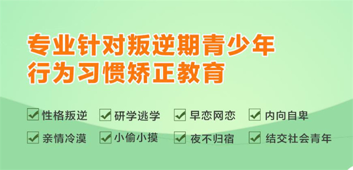 武漢紐特心理教育學校|央視唯一報道:解決孩子厭學網癮等問題-圖2