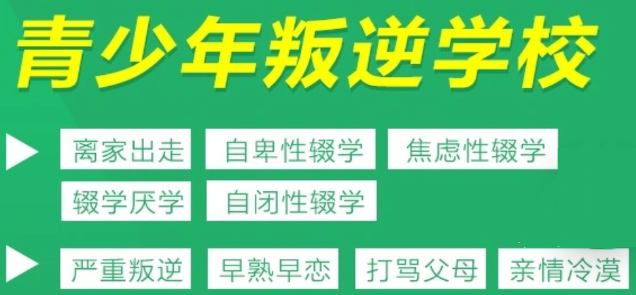  武漢東湖高新區(qū)青少年全封閉管教學(xué)校-戒網(wǎng)癮！-圖1