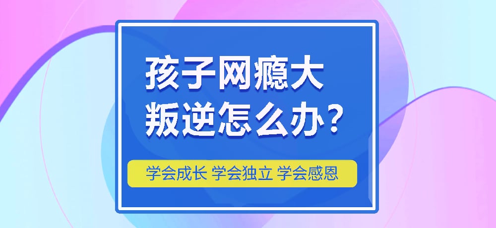 隨州全封閉式青春叛逆少年戒網癮-心理矯正疏導學校-圖2