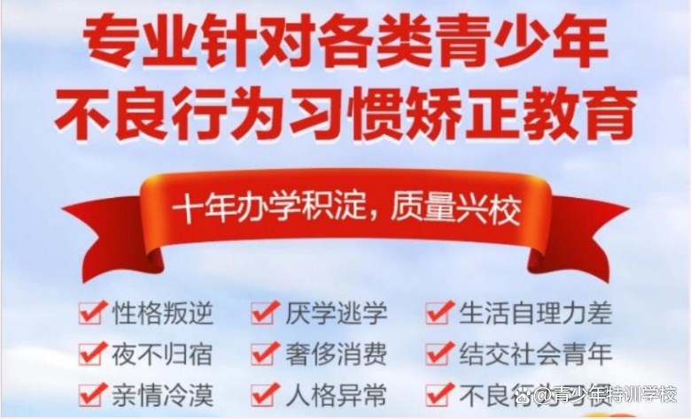 紐特心理叛逆少年管教特訓地-網癮戒除學校-官方咨詢入口-圖1